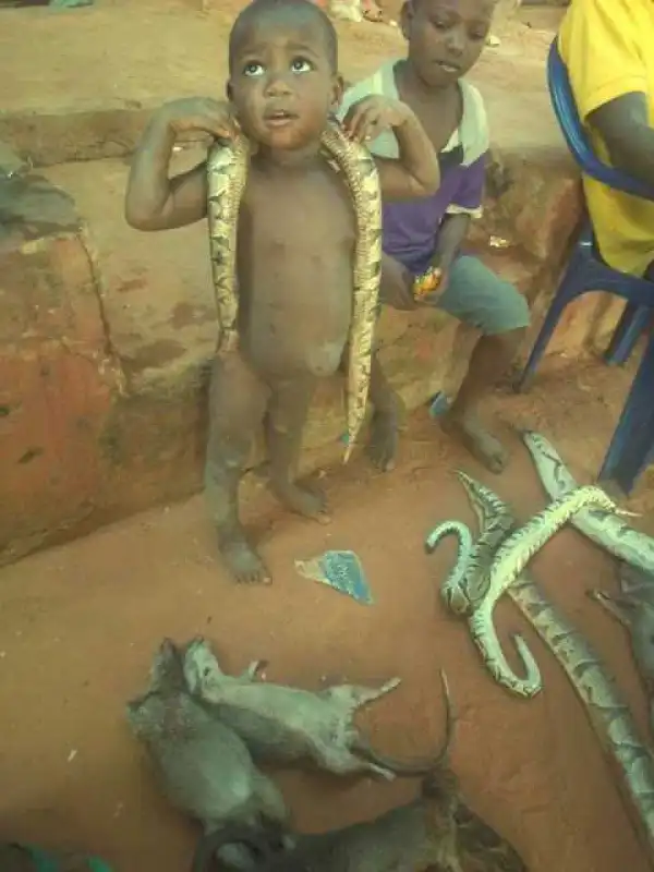 These kids are playing with snakes! (Photos)
